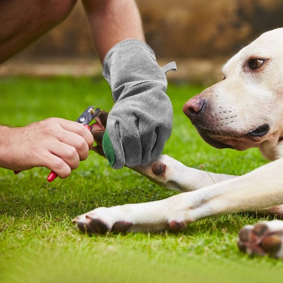 Leather Safety Work Gloves Gardening Carpenter Waterproof Heavy Duty Grey Medium - Picture 5 of 8